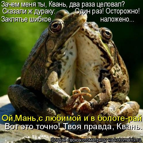 Заклятье шибкое наложено... Зачем меня ты, Квань, два раза целовал? Вот ... Котоматрица: Заклятье шибкое наложено... Зачем меня ты, Квань, два раза целовал? Вот это точно! Твоя правда, Квань... Сказали ж дураку