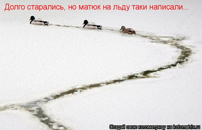 Долго старались, но матюк на льду таки написали...... Котоматрица: Долго старались, но матюк на льду таки написали...