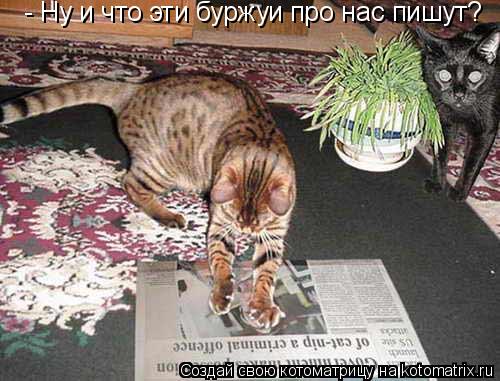 - Ну и что эти буржуи про нас пишут?... Котоматрица: - Ну и что эти буржуи про нас пишут?