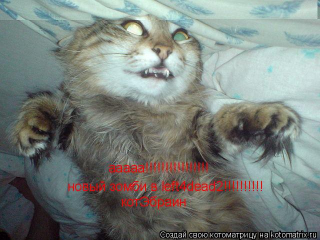 ааааа!!!!!!!!!!!!!!!! новый зомби в left4dead2!!!!!!!!!! котЭбраин... Котоматрица: ааааа!!!!!!!!!!!!!!!! новый зомби в left4dead2!!!!!!!!!! котЭбраин