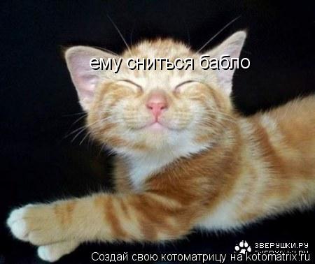 ему сниться бабло... Котоматрица: ему сниться бабло