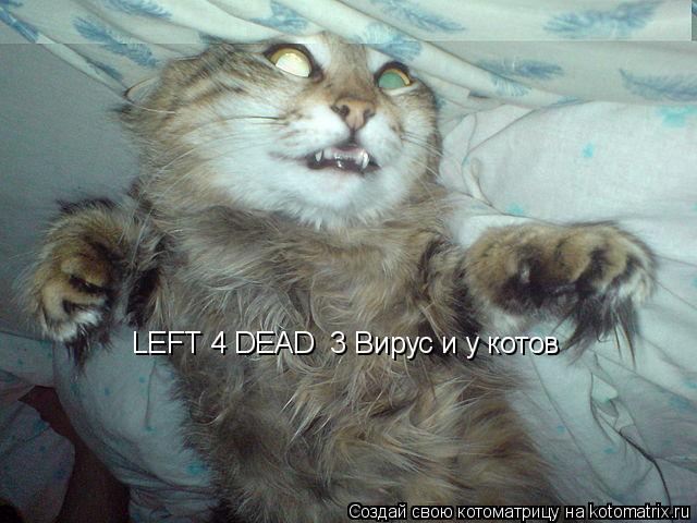 LEFT 4 DEAD 3 Вирус и у котов... Котоматрица: LEFT 4 DEAD 3 Вирус и у котов