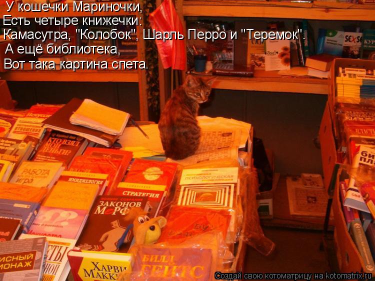 Есть четыре книжечки: Камасутра, "Колобок", Шарль Перро и "Теремок". У кошечки Мариночки, А ещё биб... Котоматрица: Есть четыре книжечки: Камасутра, "Колобок", Шарль Перро и "Теремок". У кошечки Мариночки, А ещё библиотека, Вот така картина спета.