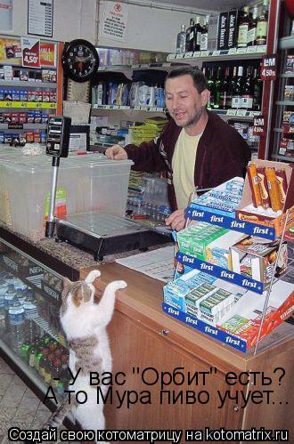 - У вас "Орбит" есть? А то Мура пиво учует...... Котоматрица: - У вас "Орбит" есть? А то Мура пиво учует...