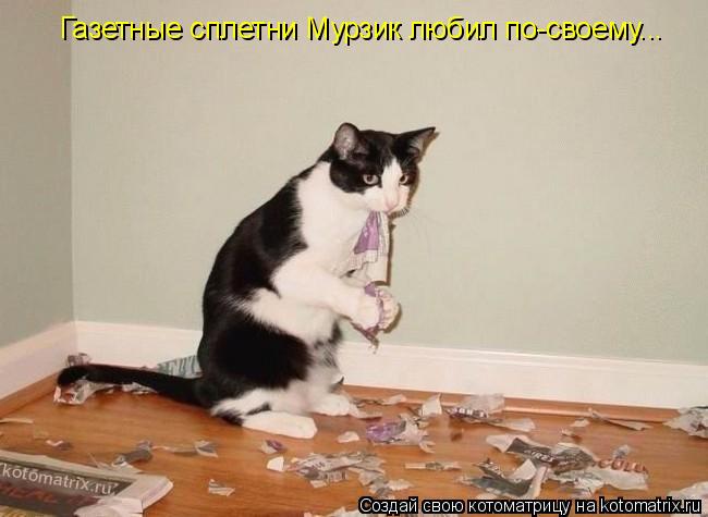 Газетные сплетни Мурзик любил по-своему...... Котоматрица: Газетные сплетни Мурзик любил по-своему...