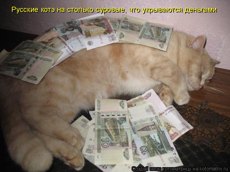 Русские котэ на столько суровые, что укрываются деньгами... Котоматрица: Русские котэ на столько суровые, что укрываются деньгами