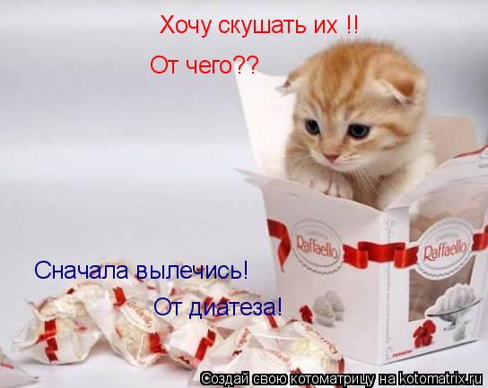 Хочу скушать их !! Сначала вылечись! От чего?? От диатеза!... Котоматрица: Хочу скушать их !! Сначала вылечись! От чего?? От диатеза!