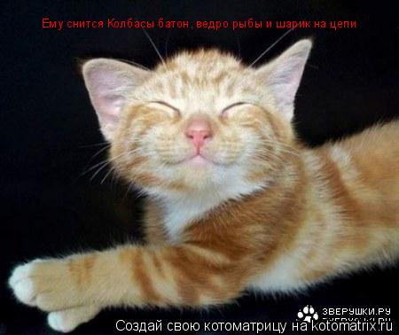 Ему снится Ему снится Колбасы батон, ведро рыбы и шарик на цепи... Котоматрица: Ему снится Ему снится Колбасы батон, ведро рыбы и шарик на цепи