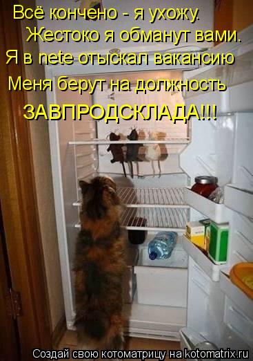 Всё кончено - я ухожу. Жестоко я обманут вами. Меня берут на должность ЗАВПРОДСКЛАДА!!! Я в nete отыс... Котоматрица: Всё кончено - я ухожу. Жестоко я обманут вами. Меня берут на должность ЗАВПРОДСКЛАДА!!! Я в nete отыскал вакансию