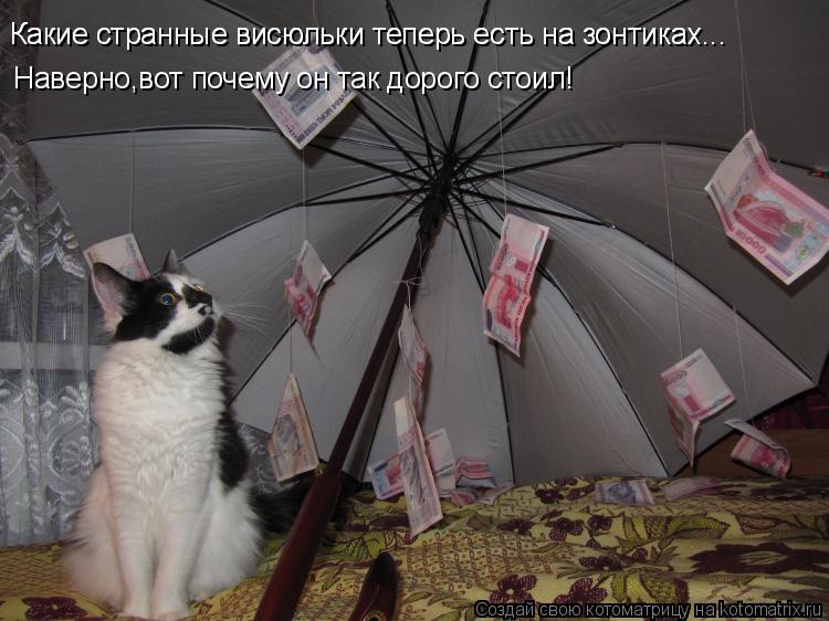 Какие странные висюльки теперь есть на зонтиках... Какие странные висюльки теперь есть на зонтиках...... Котоматрица: Какие странные висюльки теперь есть на зонтиках... Какие странные висюльки теперь есть на зонтиках... Наверно,вот почему он так дорого стоил!