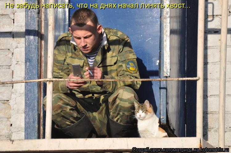 Не забудь написать, что на днях начал линять хвост...... Котоматрица: Не забудь написать, что на днях начал линять хвост...