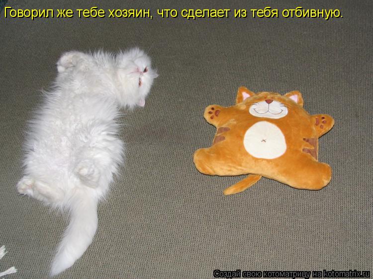 Говорил же тебе хозяин, что сделает из тебя отбивную.... Котоматрица: Говорил же тебе хозяин, что сделает из тебя отбивную.