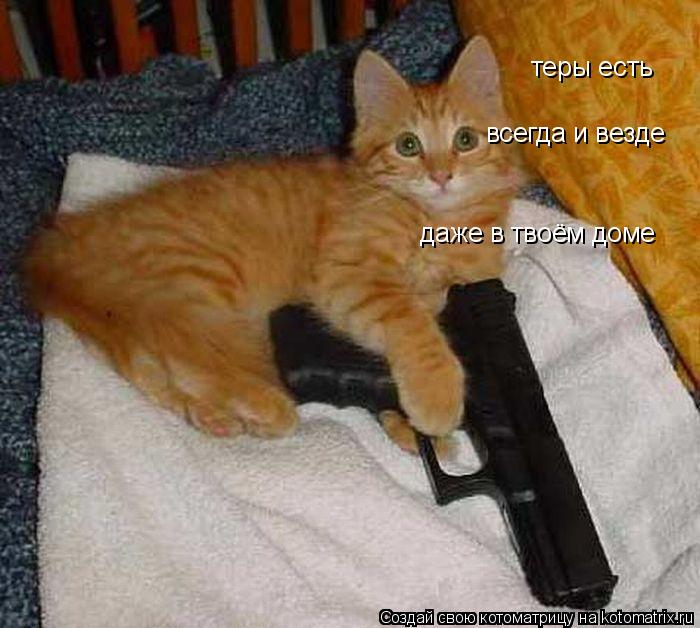 теры есть всегда и везде даже в твоём доме... Котоматрица: теры есть всегда и везде даже в твоём доме