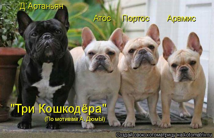 Атос Портос Арамис Д`Артаньян "Три Кошкодёра" (По мотивам А. ДюмЫ)... Котоматрица: Атос Портос Арамис Д`Артаньян "Три Кошкодёра" (По мотивам А. ДюмЫ)