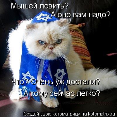 Мышей ловить? А оно вам надо? Что? Очень уж достали? А кому сейчас легко?... Котоматрица: Мышей ловить? А оно вам надо? Что? Очень уж достали? А кому сейчас легко?