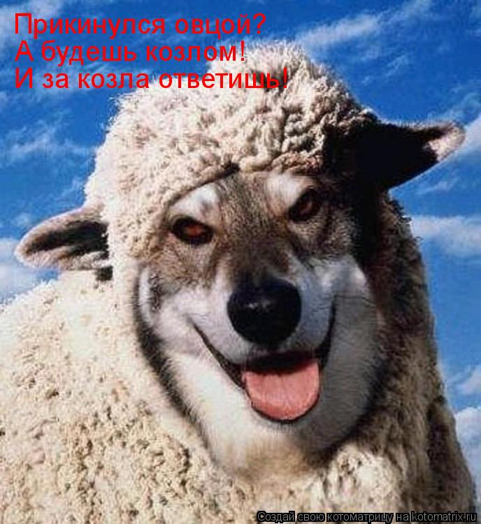 Прикинулся овцой? А будешь козлом! И за козла ответишь!... Котоматрица: Прикинулся овцой? А будешь козлом! И за козла ответишь!
