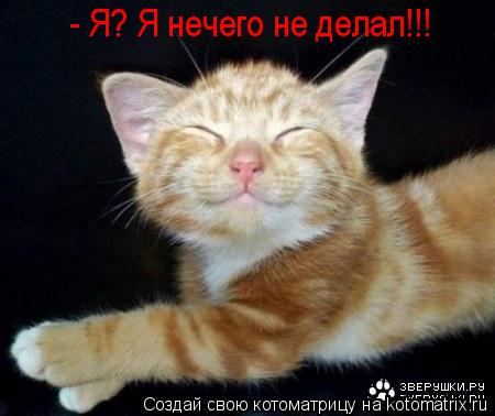 - Я? Я нечего не делал!!!... Котоматрица: - Я? Я нечего не делал!!!