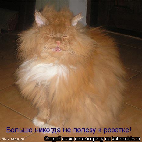 Больше никогда не полезу к розетке!... Котоматрица: Больше никогда не полезу к розетке!