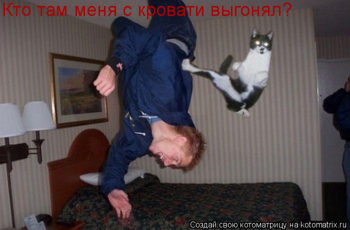 Кто там меня с кровати выгонял?... Котоматрица: Кто там меня с кровати выгонял?
