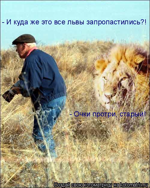 - И куда же это все львы запропастились?! - Очки протри, старый!... Котоматрица: - И куда же это все львы запропастились?! - Очки протри, старый!