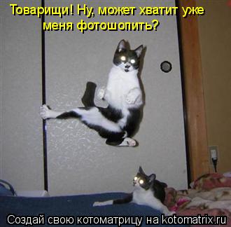 Товарищи! Ну, может хватит уже меня фотошопить?... Котоматрица: Товарищи! Ну, может хватит уже меня фотошопить?
