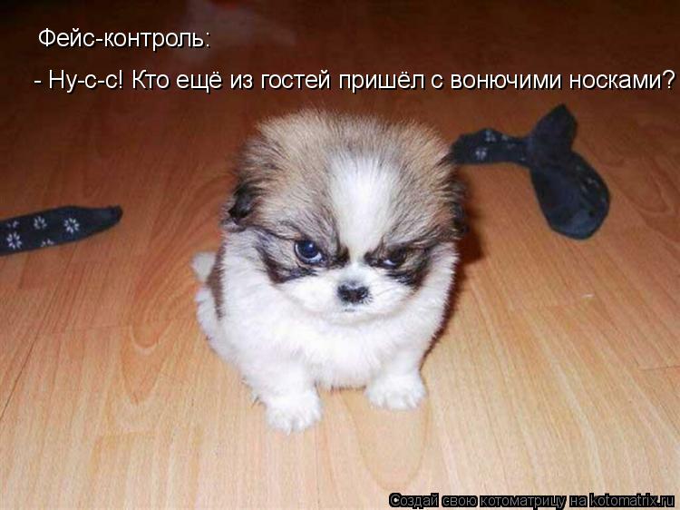 Котоматрица: Фейс-контроль:  - Ну-с-с! Кто ещё из гостей пришёл с вонючими носками?