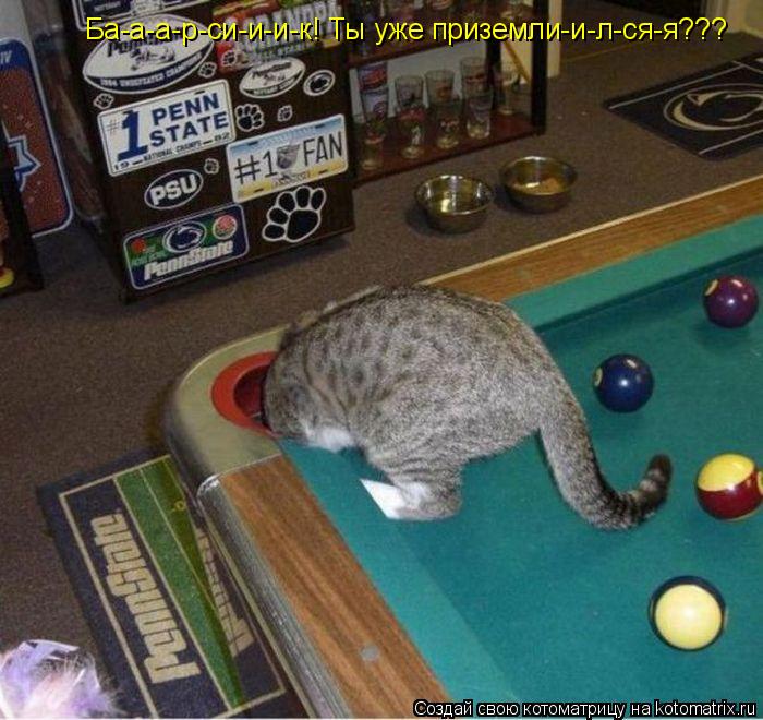 Ба-а-а-р-си-и-и-к! Ты уже приземли-и-л-ся-я???... Котоматрица: Ба-а-а-р-си-и-и-к! Ты уже приземли-и-л-ся-я???
