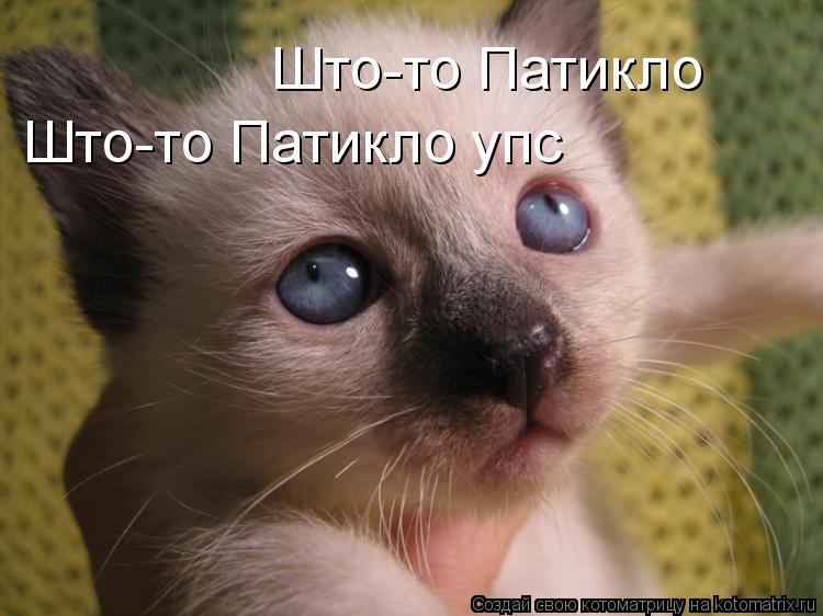 Што-то Патикло Што-то Патикло упс... Котоматрица: Што-то Патикло Што-то Патикло упс
