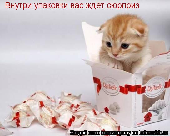 Внутри упаковки вас ждёт сюрприз... Котоматрица: Внутри упаковки вас ждёт сюрприз
