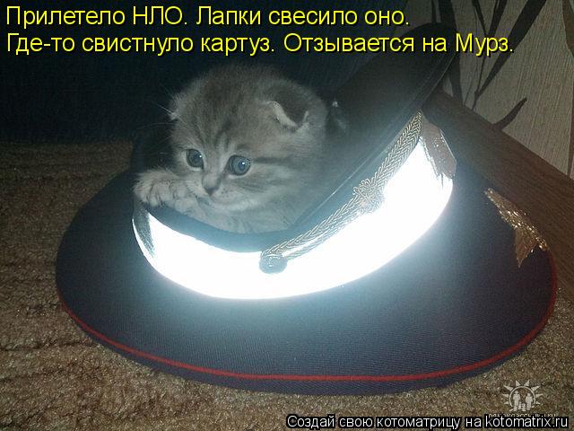Прилетело НЛО. Лапки свесило оно. Где-то свистнуло картуз. Отзывается на Мурз.... Котоматрица: Прилетело НЛО. Лапки свесило оно. Где-то свистнуло картуз. Отзывается на Мурз.