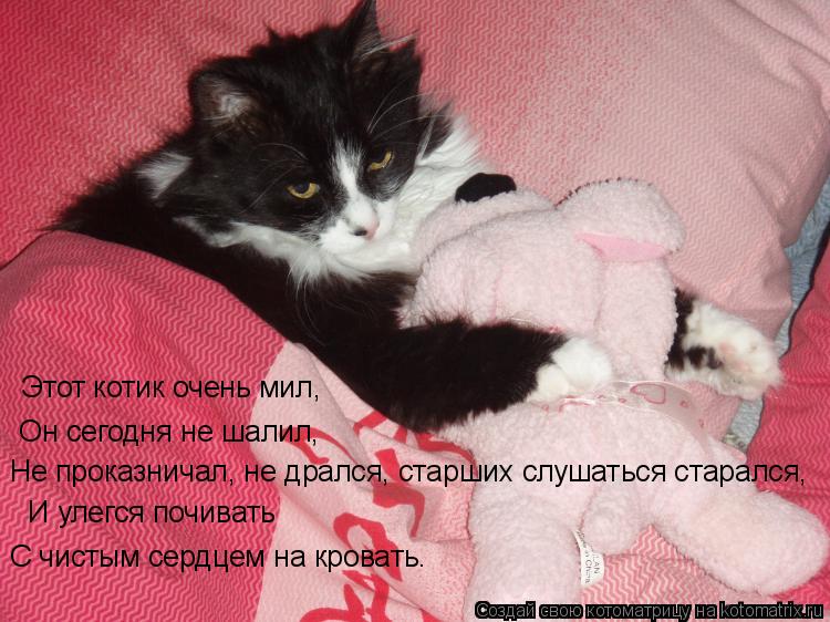 Этот котик очень мил, Он сегодня не шалил, Не проказничал, не дрался, старших слушаться старался, С ... Котоматрица: Этот котик очень мил, Он сегодня не шалил, Не проказничал, не дрался, старших слушаться старался, С чистым сердцем на кровать. И улегся почи