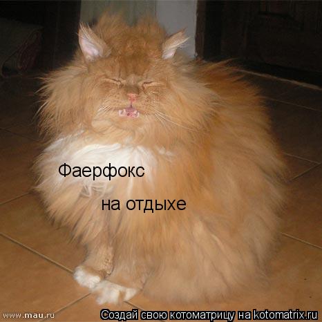 Фаерфокс на отдыхе... Котоматрица: Фаерфокс на отдыхе