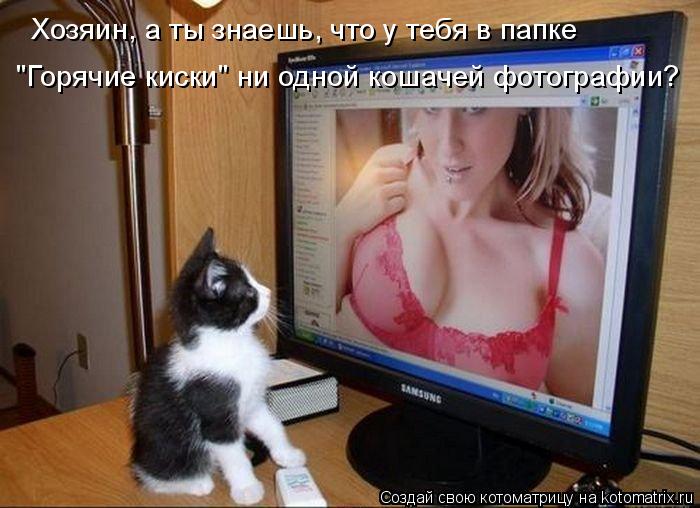 Котоматрица: Хозяин, а ты знаешь, что у тебя в папке  "Горячие киски" ни одной кошачей фотографии?