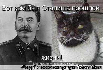 Котоматрица: жизни!  Вот кем был Сталин в прошлой
