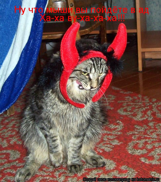 Котоматрица: Ну что мыши,вы пойдёте в ад Ха-ха ву-ха-ха-ха!!!