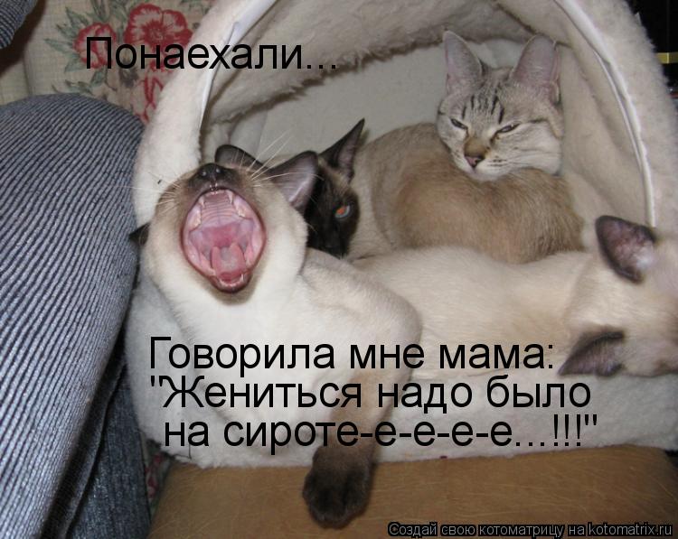 Котоматрица: Понаехали... Говорила мне мама: "Жениться надо было  на сироте-е-е-е-е...!!!"