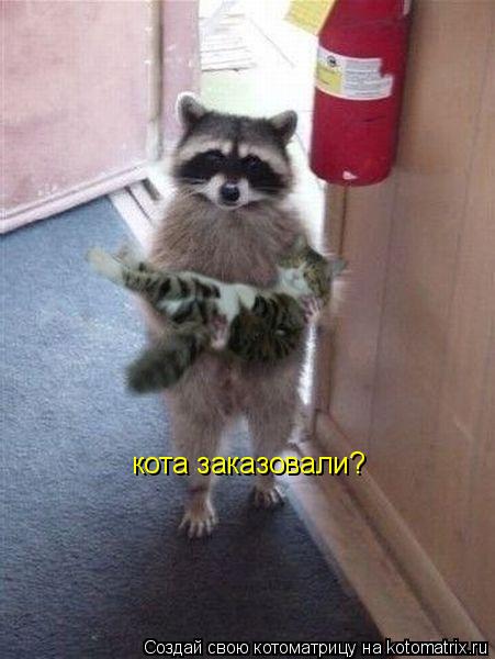 Котоматрица: кота заказовали?