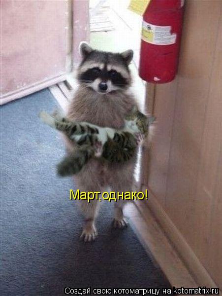 Котоматрица: Март,однако!