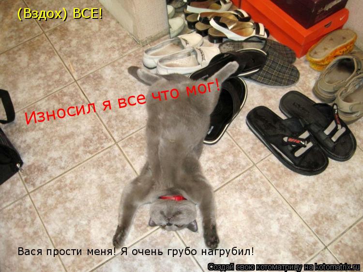 (Вздох) ВСЕ! Износил я все что мог! Вася прости меня! Я очень грубо нагрубил!... Котоматрица: (Вздох) ВСЕ! Износил я все что мог! Вася прости меня! Я очень грубо нагрубил!