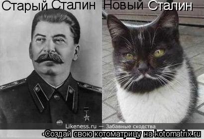 Старый Сталин Новый Сталин... Котоматрица: Старый Сталин Новый Сталин