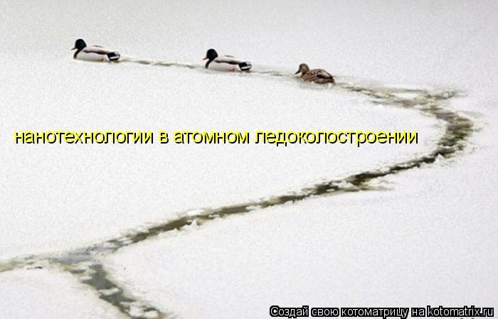 нанотехнологии в атомном ледоколостроении... Котоматрица: нанотехнологии в атомном ледоколостроении