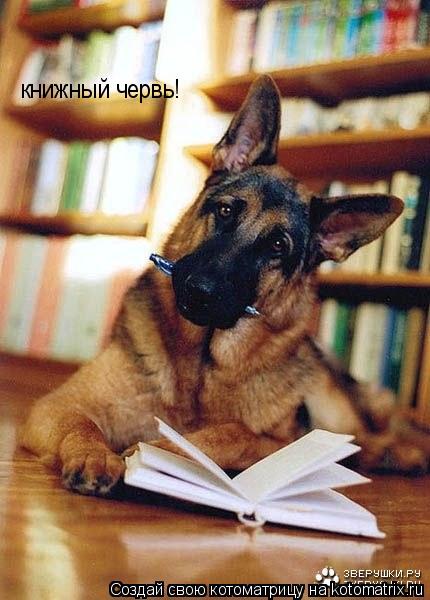 книжный червь!... Котоматрица: книжный червь!