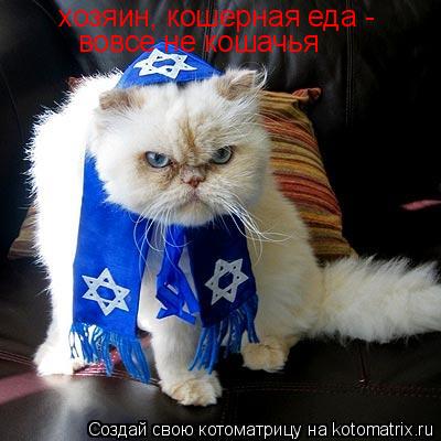 хозяин, кошерная еда - вовсе не кошачья... Котоматрица: хозяин, кошерная еда - вовсе не кошачья
