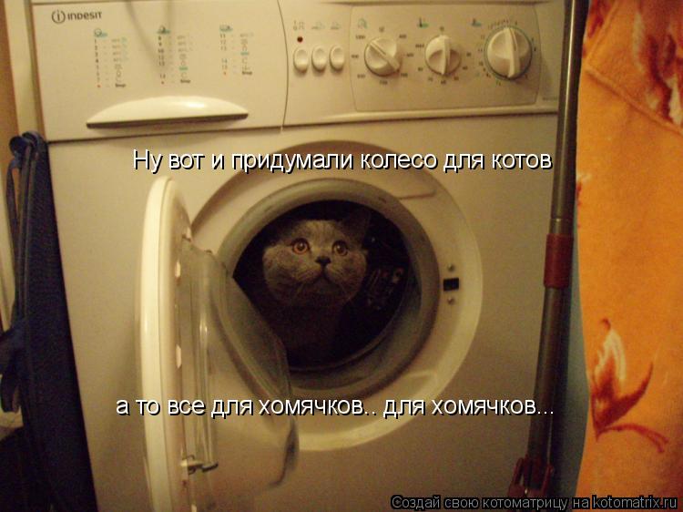 Ну вот и придумали колесо для котов а то все для хомячков.. для хомячков...... Котоматрица: Ну вот и придумали колесо для котов а то все для хомячков.. для хомячков...