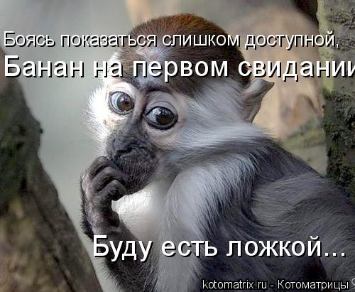Боясь показаться слишком доступной, Банан на первом свидании Буду есть ложкой...... Котоматрица: Боясь показаться слишком доступной, Банан на первом свидании Буду есть ложкой...