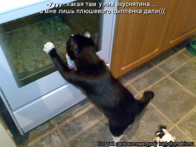 -Уууу...какая там у них вкуснятина.... а мне лишь плюшевого цыплёнка дали(((... Котоматрица: -Уууу...какая там у них вкуснятина.... а мне лишь плюшевого цыплёнка дали(((