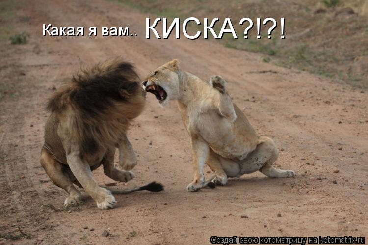 Какая я вам.. КИСКА?!?!... Котоматрица: Какая я вам.. КИСКА?!?!