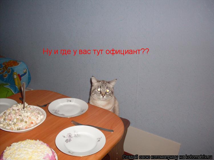 Котоматрица: Ну и где у вас тут официант??