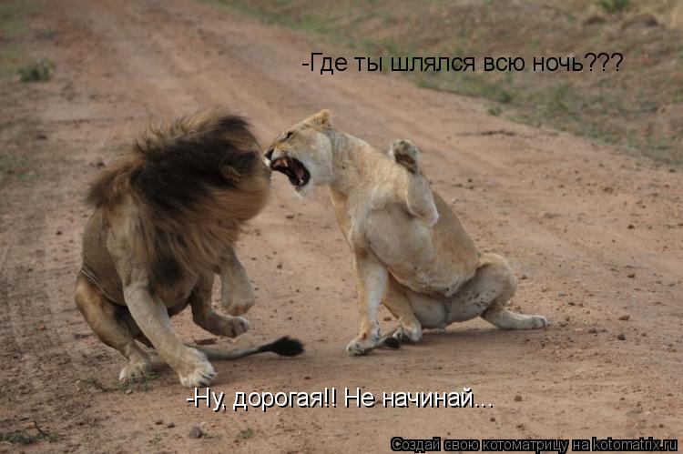 -Где ты шлялся всю ночь??? -Ну, дорогая!! Не начинай...... Котоматрица: -Где ты шлялся всю ночь??? -Ну, дорогая!! Не начинай...
