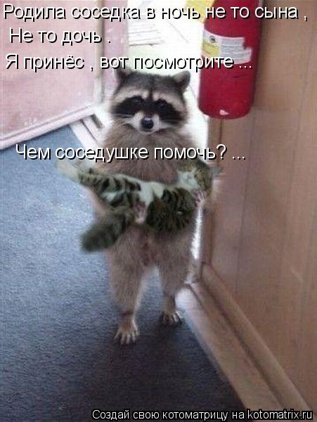 Родила соседка в ночь не то сына , Не то дочь . Я принёс , вот посмотрите ... Чем соседушке помочь? .... Котоматрица: Родила соседка в ночь не то сына , Не то дочь . Я принёс , вот посмотрите ... Чем соседушке помочь? ...